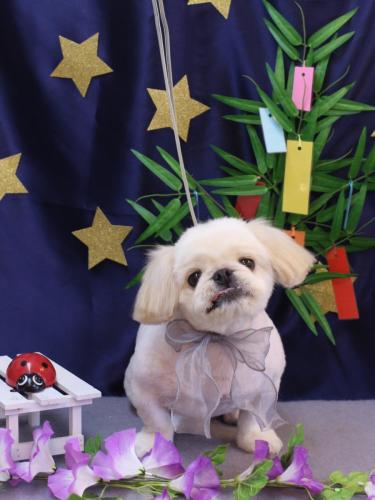 20230723エイトくん